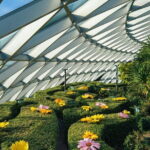 Jewel Changi Airport Tickets in Singapore - Who Will Find This Tour Most Valuable?