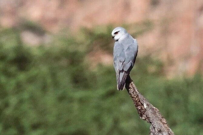 Jhalana Wildlife Private Jeep Safari Tour in Jaipur - Is This Experience Worth the Price?