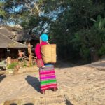 Jingmai Mountain (UNESCO) | Old Tea Forests and Dai Villages - What to Expect Day-by-Day