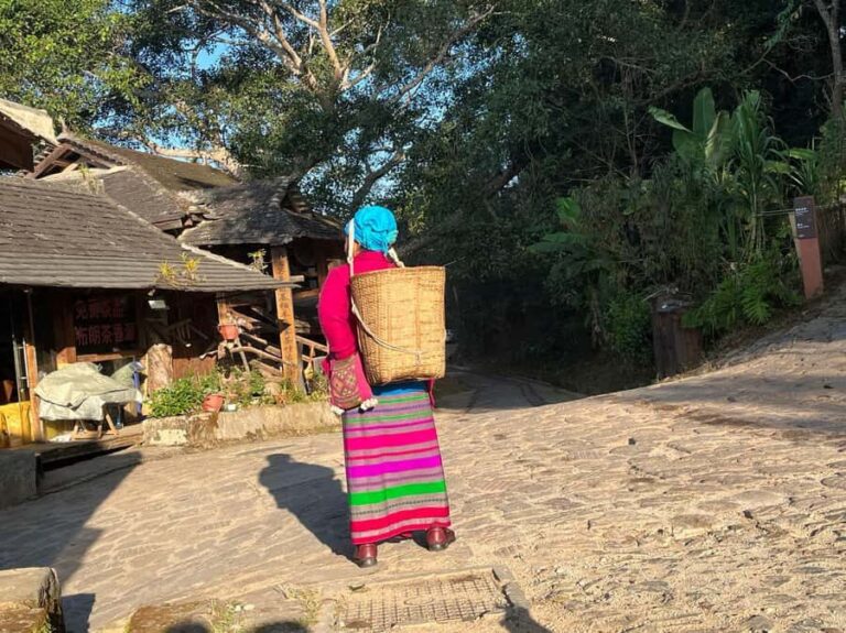 Jingmai Mountain (UNESCO) | Old Tea Forests and Dai Villages - What to Expect Day-by-Day