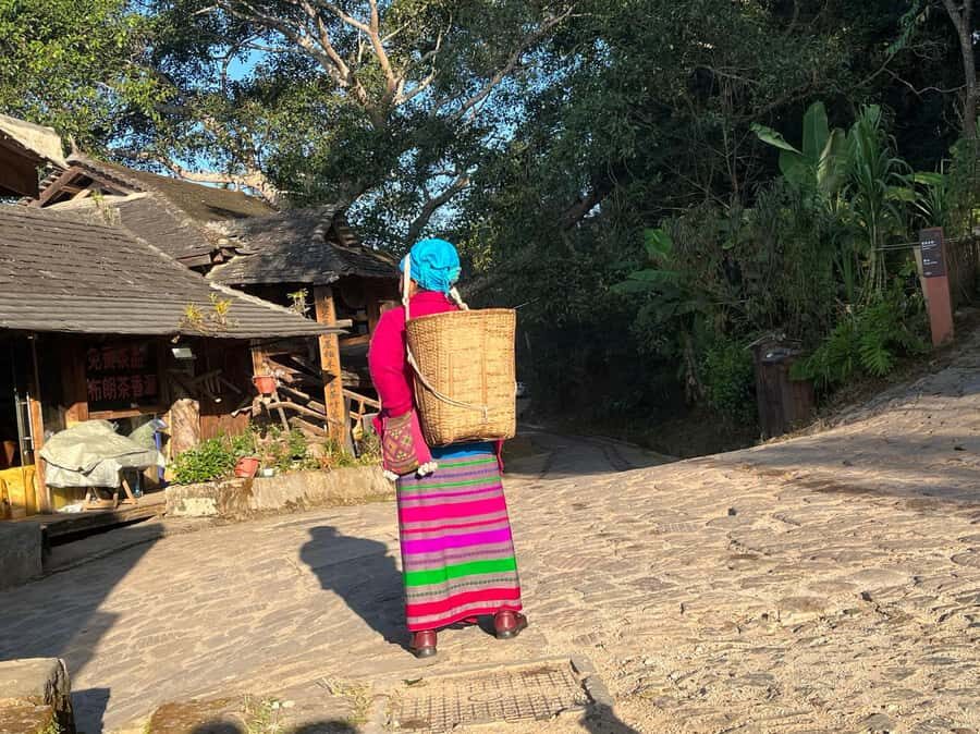 Jingmai Mountain (UNESCO) | Old Tea Forests and Dai Villages - What to Expect Day-by-Day