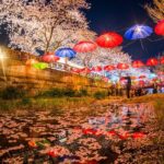 Jinhae Gunhangje Night Tour - Final Thoughts