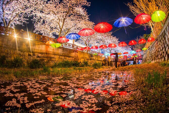 Jinhae Gunhangje Night Tour - Final Thoughts