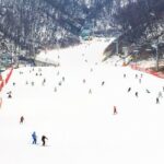 Jisan Forest Winter Ski Day Tour from Seoul with Basic Lesson - What Makes This Tour a Good Choice?