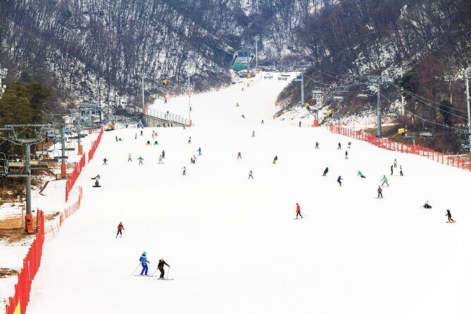 Jisan Forest Winter Ski Day Tour from Seoul with Basic Lesson - What Makes This Tour a Good Choice?