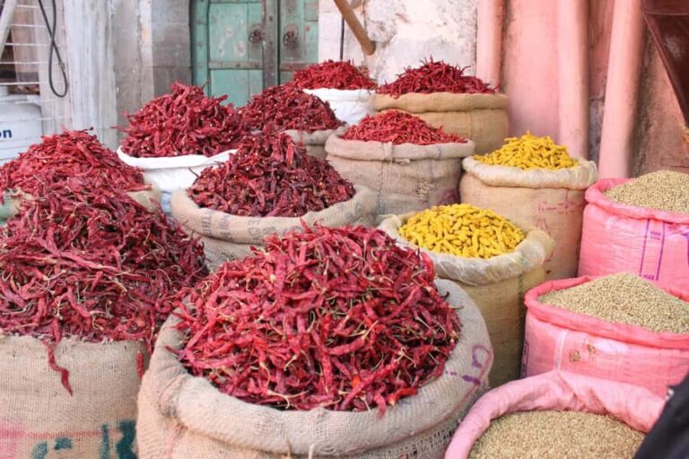Jodhpur: Spice Market and Vegetarian Food Walk - Who Should Consider This Tour?