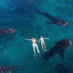 Joiners Whale Shark Watching and Canyoneering in Kawasan Falls - FAQ