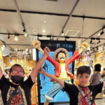 Journey Through time in 10 days Tour in Japan wiht your Guide - Who Is This Tour Best Suited For?