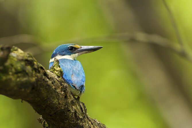 Junam Wetlands and Haeinsa Temple Tour - FAQ