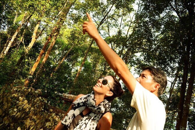 Jungle Experience: 1 Day Trek in Nam Ha NPA - Practical Details That Make a Difference