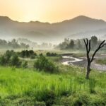 Jungle safari near Rishikesh inside Rajaji National Park - FAQ