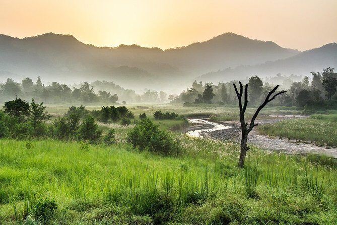 Jungle safari near Rishikesh inside Rajaji National Park - FAQ