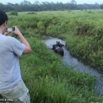 Jungle Tower Night Stay in Chitwan National Park 2 Nights 3 Days - Possible Drawback