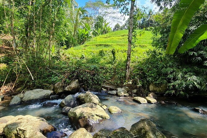 Jungle Trekking at Mt. Batukaru, scenic Waterfall & village life - Who Should Consider This Tour?
