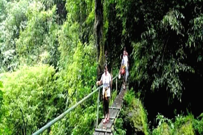 Jungle Trekking Day Tour - A Detailed Look at the Jungle Trekking Day Tour