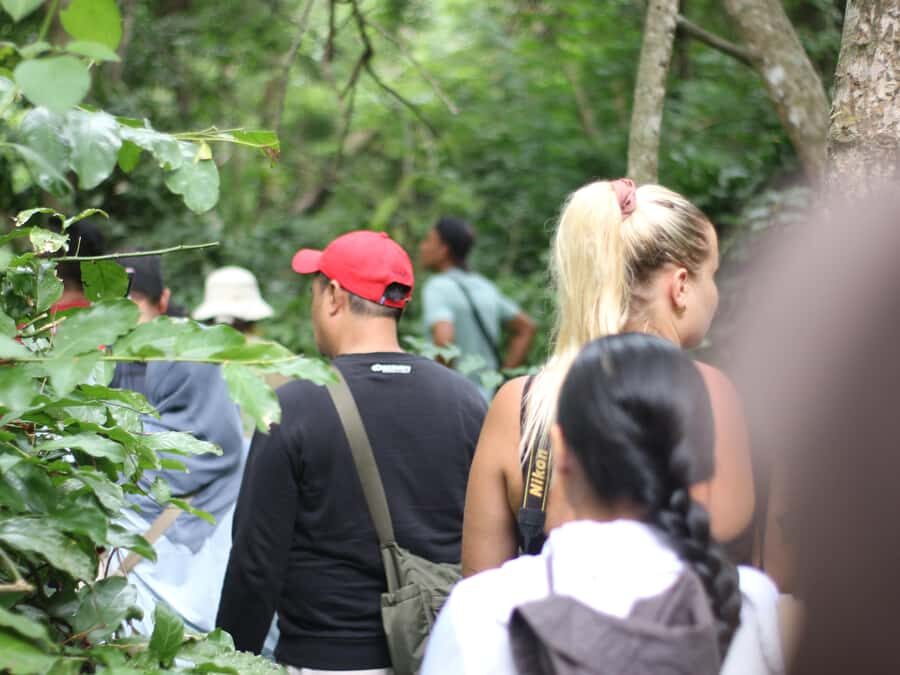 Jungle Trekking West Bali National Park - Who Is This Tour Best For?
