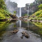 K50 Waterfall Trekking Adventure 2D1N from Ho Chi Minh - Day 2: Lake Paddling and Farewell