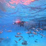 kaafu tour with lunch - How This Tour Balances Value and Experience