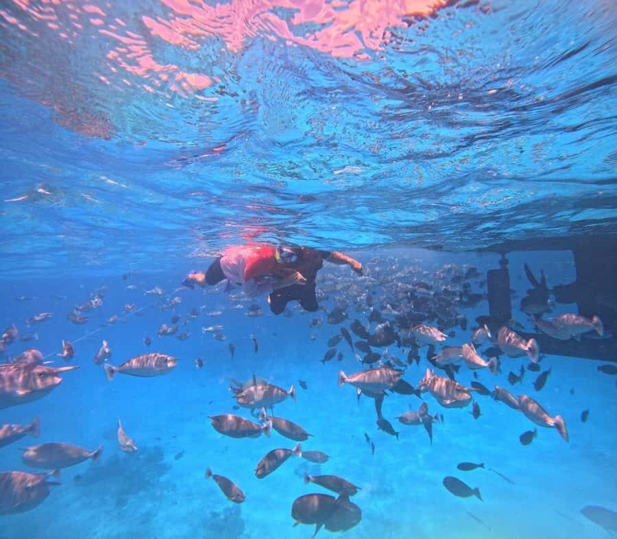 kaafu tour with lunch - How This Tour Balances Value and Experience