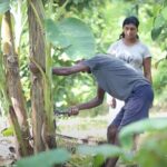 Kadadasi and the Backyard Forest - Why This Tour Offers Great Value