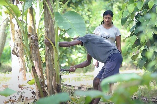 Kadadasi and the Backyard Forest - Why This Tour Offers Great Value