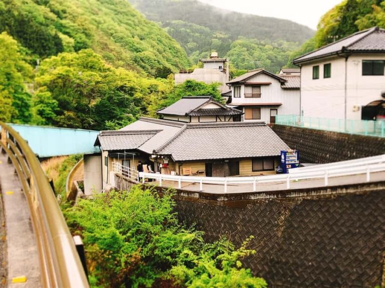 Kagawa: Gourmet Journey with a Private Car - Discovering Kagawa’s Culinary Charm