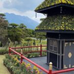 Kagoshima: Cultural Heritage & Samurai Legacy Private Tour - Who Should Consider This Tour?