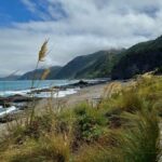 Kaikura: Small Group Tour- optional Whale, Dolphin, Zipline - Why This Tour Offers Great Value