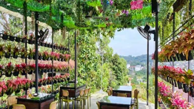 Kajang: Sak Dato Temple, EcoHill Park & Pineapple Farm Tour - Practicalities and Considerations