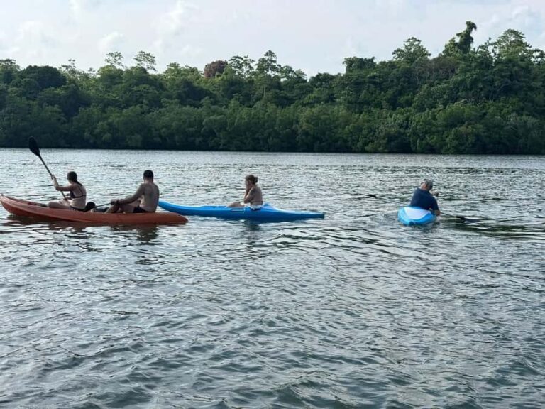 Kalutara/Wadduwa: Galle Fort, Koggala Lake Safari & Kayaking - Who Should Consider This Tour?