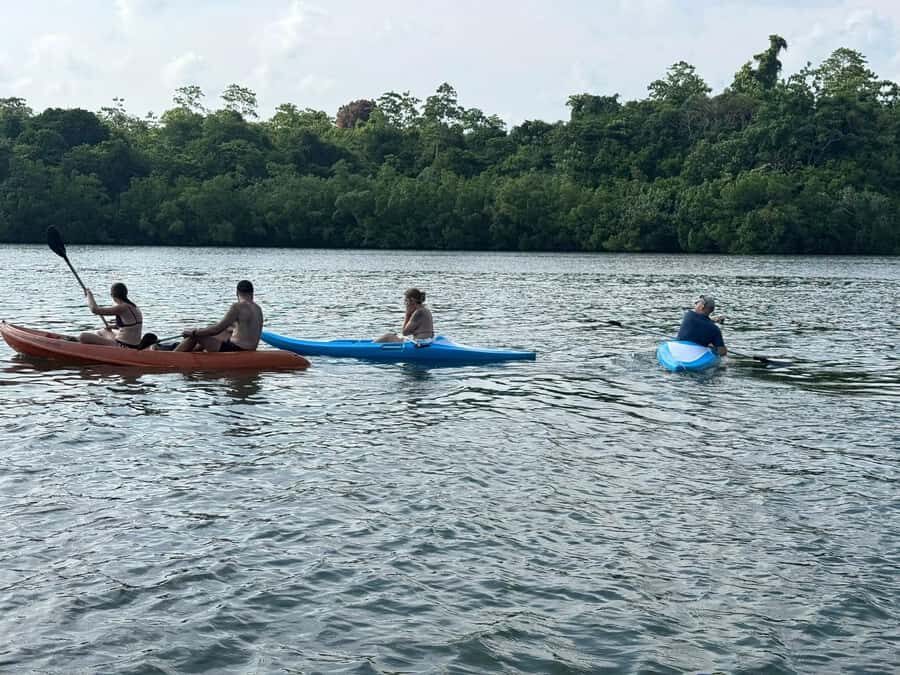 Kalutara/Wadduwa: Galle Fort, Koggala Lake Safari & Kayaking - Who Should Consider This Tour?