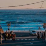 Kamakura: 4-Hour Highlights Tour with Great Buddha & Temples - Practical Details and Value