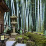 Kamakura All-Day Zen Walk: Temples & Hidden Gems - Why This Tour Offers Real Value