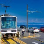 Kamakura: Cherry Blossom Full Day Tour with Expert Guide - Analyzing the Value