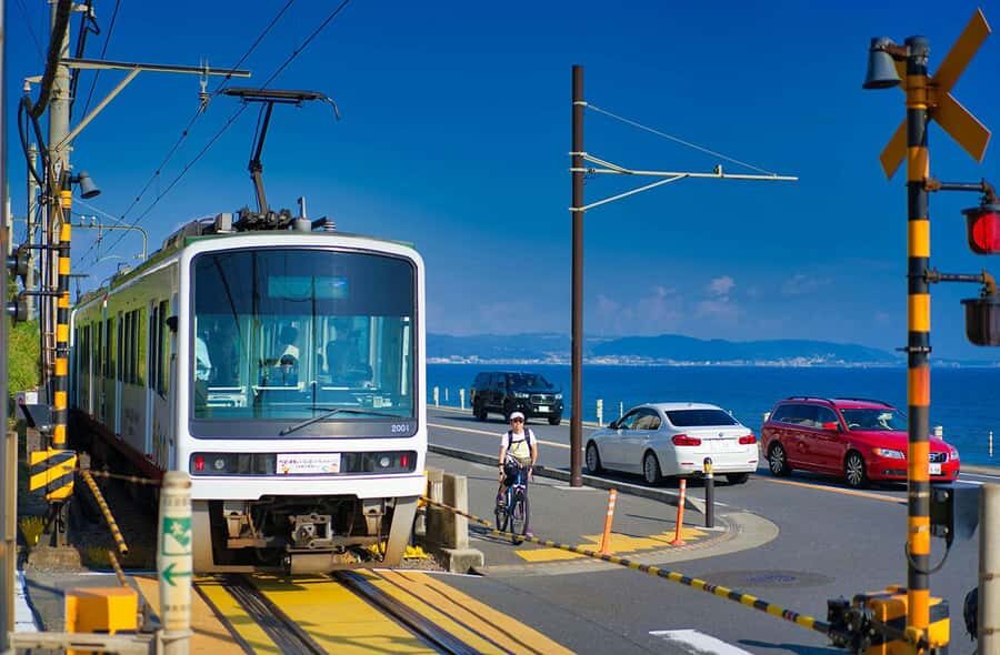 Kamakura: Cherry Blossom Full Day Tour with Expert Guide - Analyzing the Value