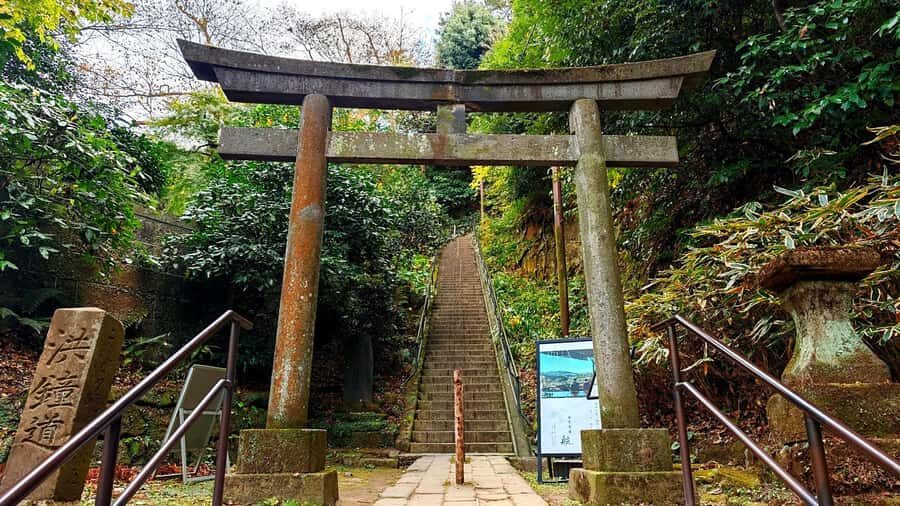 Kamakura: Great Buddha Hike, Hidden Shrines & Zen Temples - Why This Tour Offers Great Value