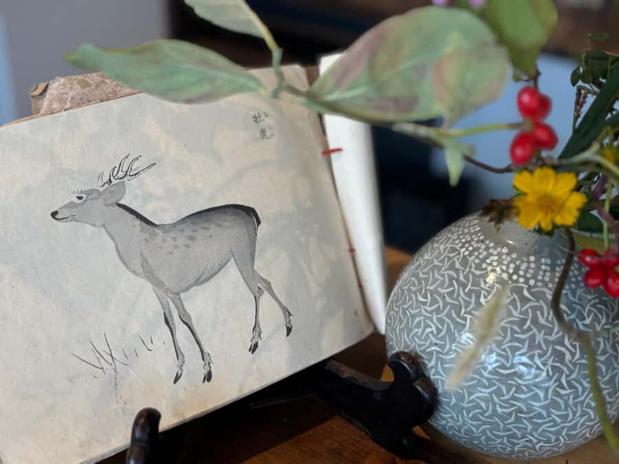 Kamakura: Mindfulness Tea Ceremony Experience - Why This Tour Is Perfect for You