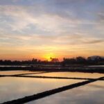 Kampot Countryside include Pepper farm, Salt field & Lake - The Itinerary: What You’ll Experience