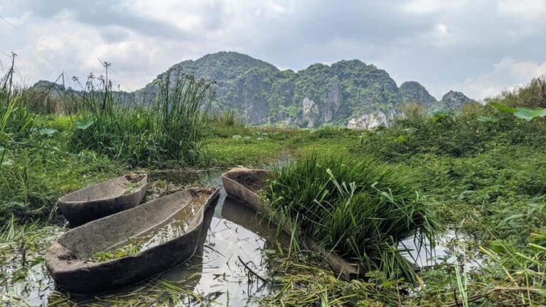 Kampot: Pepper Farms and Limestone Hills Tuk-Tuk Tour - Exploring Kampot’s Countryside