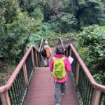 Kanagawa: Koajiro no Mori Forest Trek with Guide - What to Expect During the Trek
