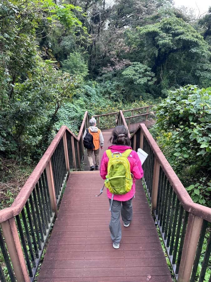 Kanagawa: Koajiro no Mori Forest Trek with Guide - What to Expect During the Trek