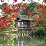 Kanazawa Historical Garden Walking Tour with Local Guide - Why this Tour Offers Great Value