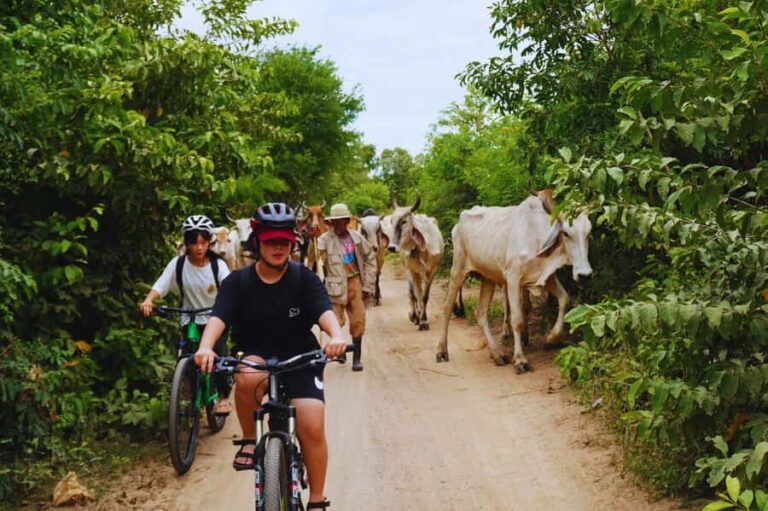 Kanchanaburi: Historical Bike Tour with Lunch - Who Would Love This Tour?