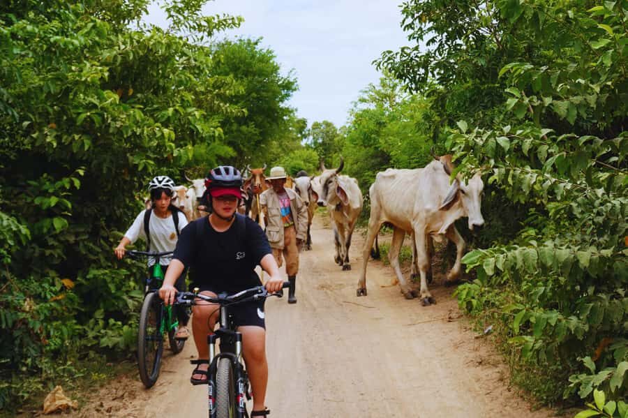 Kanchanaburi: Historical Bike Tour with Lunch - Who Would Love This Tour?