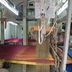 Kanchipuram Temples Day Trip with Female Host - An In-Depth Look at the Kanchipuram Temples Day Trip