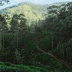 Kandy: Bike Rental with Helmet, Water, and Route Map - What’s Included and How It Works