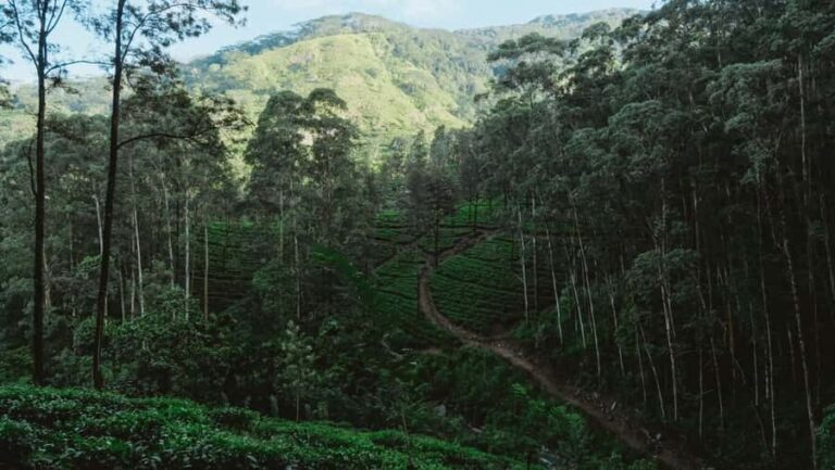 Kandy: Bike Rental with Helmet, Water, and Route Map - What’s Included and How It Works