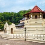 Kandy City Sightseeing Tour by Tuk Tuk - Royal Botanical Gardens in Peradeniya