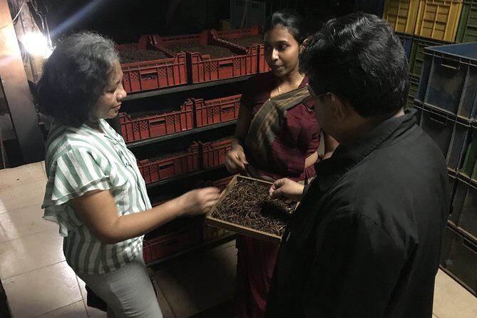 Kandy City tour and site visits - What Reviewers Highlight