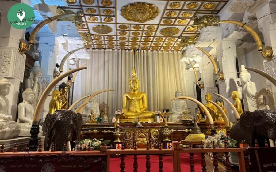 Kandy City Tour - Cultural Heart of Srilanka - Why This Tour Stands Out